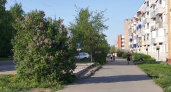 Метеорологи дали прогноз на июнь в Кировской области